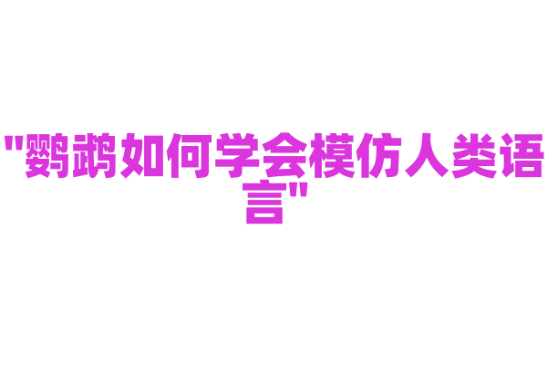 "鹦鹉如何学会模仿人类语言"